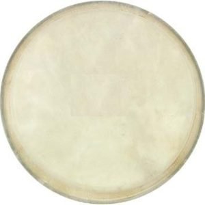 Cox DER-DJ12 12" Djembe Derisi