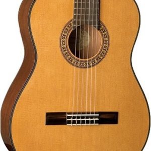 Washburn C40 Klasik Gitar