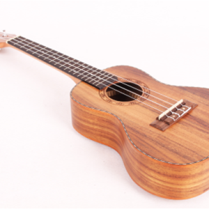 Champes 2840-21'' Soprano Ukulele Kılıf ve Askı Hediyeli