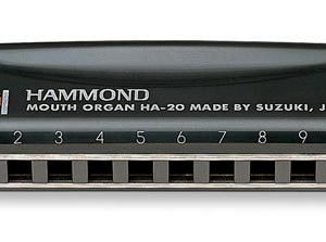 Suzuki HA-20C Hammond Mızıka 10 Delikli