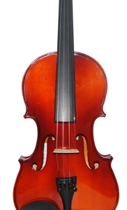 Swing 4/4 Masif Parlak Cilalı Keman Komple